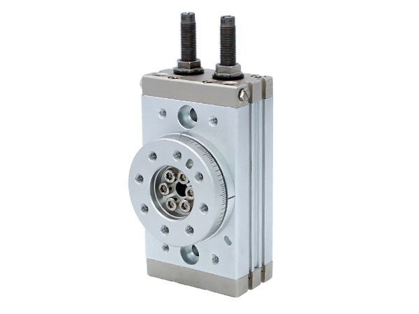 Rotary Table/Rack & Pinion Type NMSQ